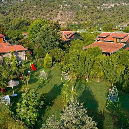 Flora Pansiyon Cirali Apartment Kemer Exterior photo