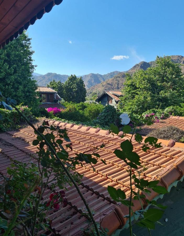 Flora Pansiyon Cirali Apartment Kemer Exterior photo