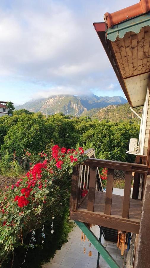 Flora Pansiyon Cirali Apartment Kemer Exterior photo