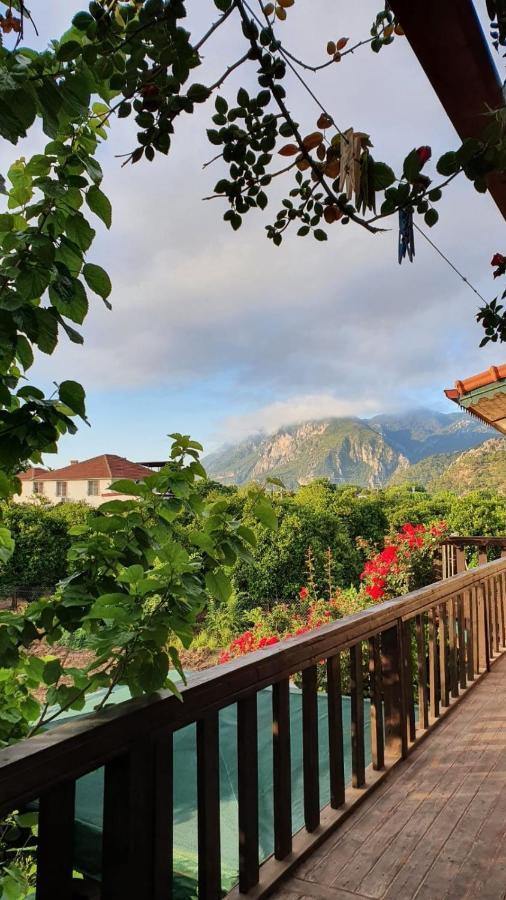 Flora Pansiyon Cirali Apartment Kemer Exterior photo