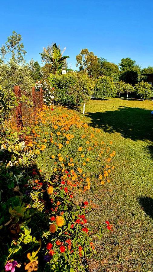 Flora Pansiyon Cirali Apartment Kemer Exterior photo